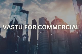 Vastu consultation for commercial and retail properties