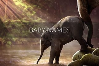 baby-names-compressor baby-names-compressor