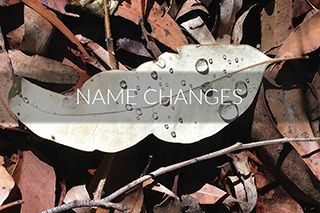 name-changes-compressor name-changes-compressor